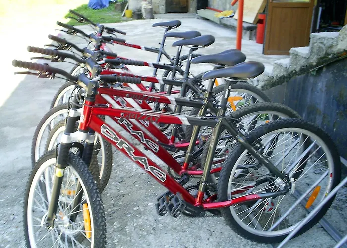 Family Markony 3* 팜포로보