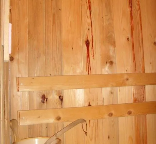 호텔 Family Markony